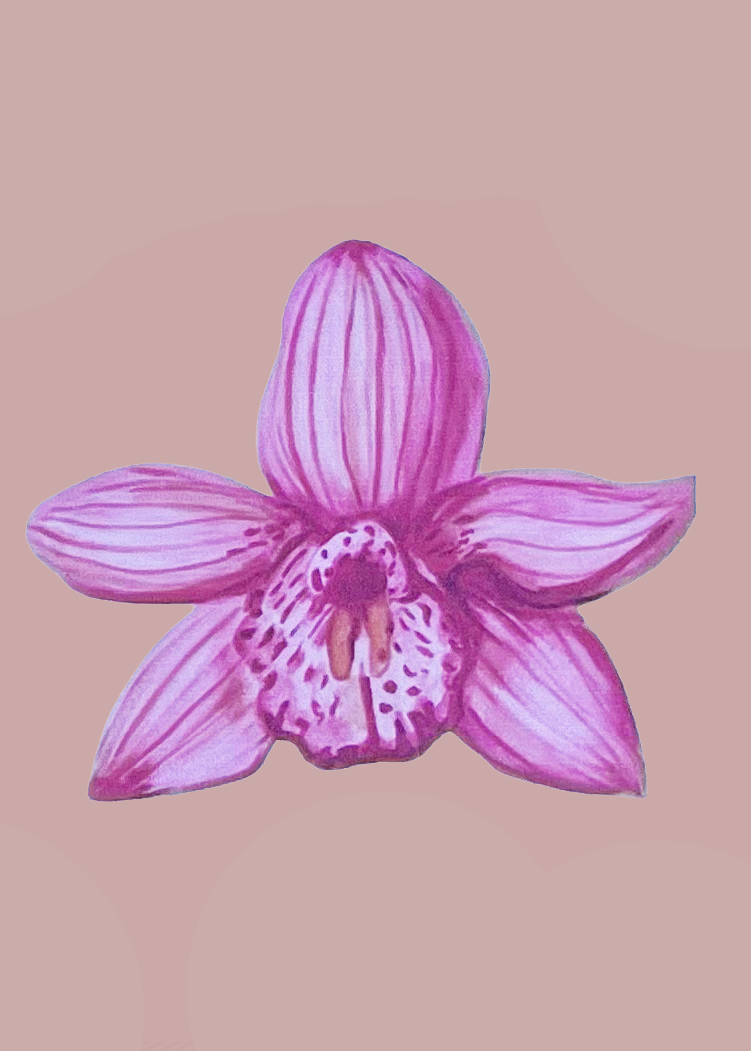 Breakfast Friend Original Art Add On